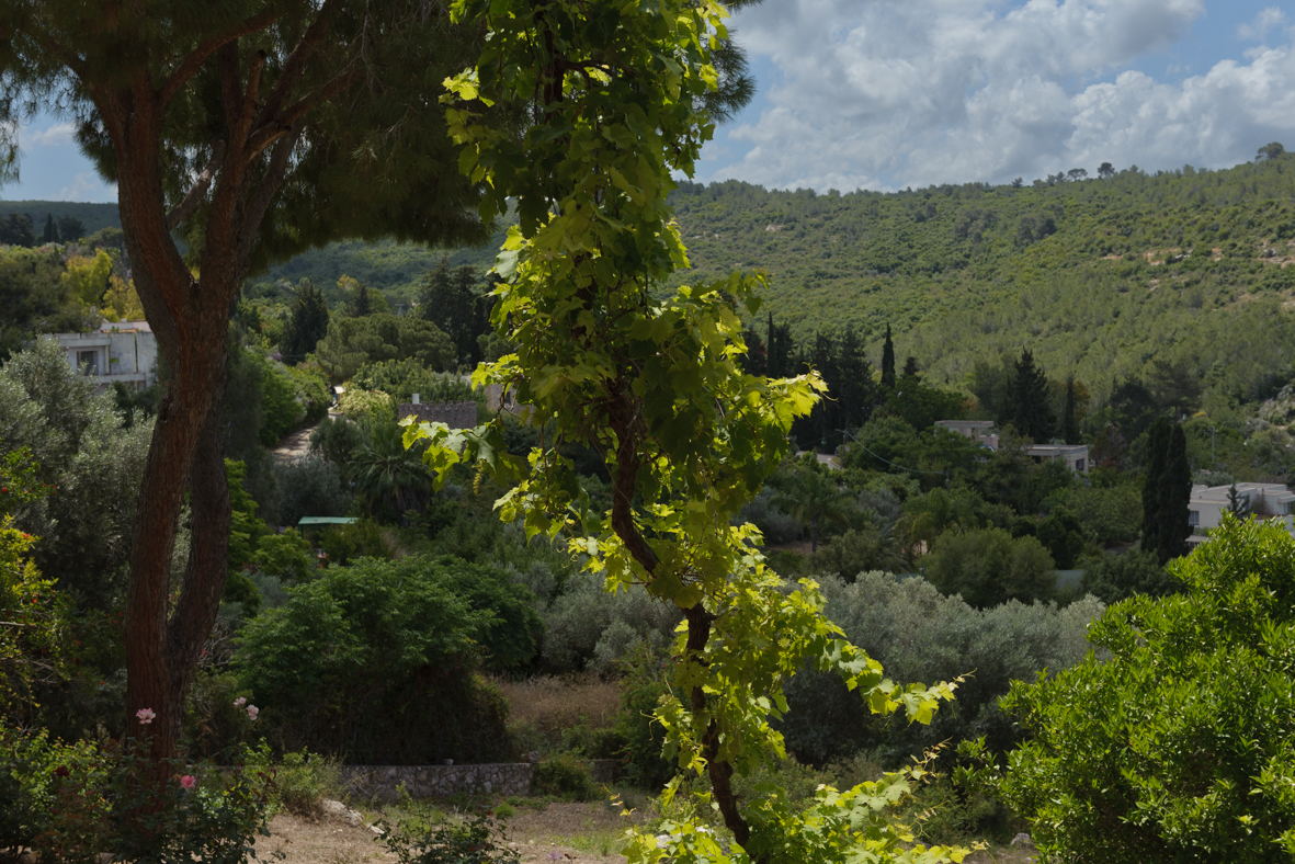 מטילים ומצלמים בעין הוד (9)