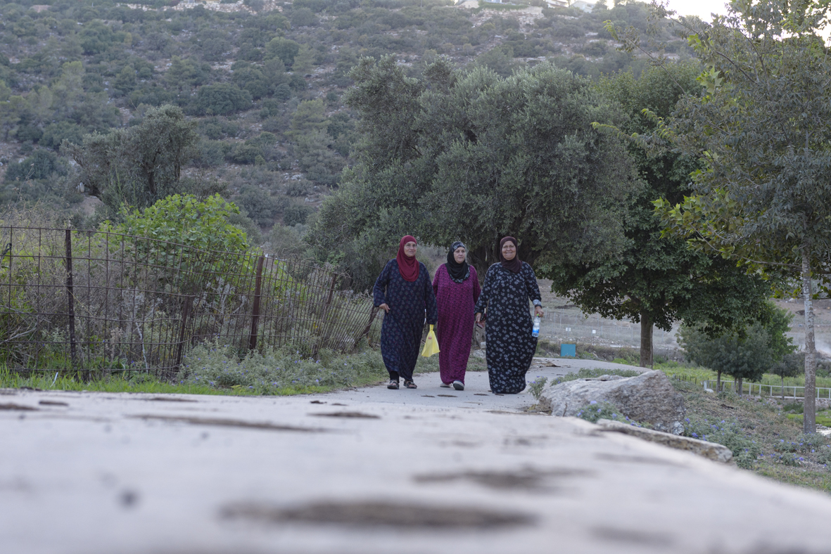 מטיילים ומצלמים בנחל ציפורי (15)