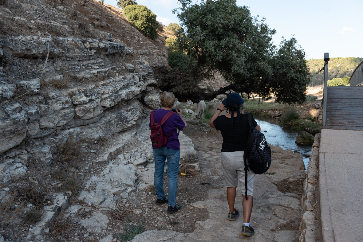 מטיילים ומצלמים בנחל ציפורי (3)