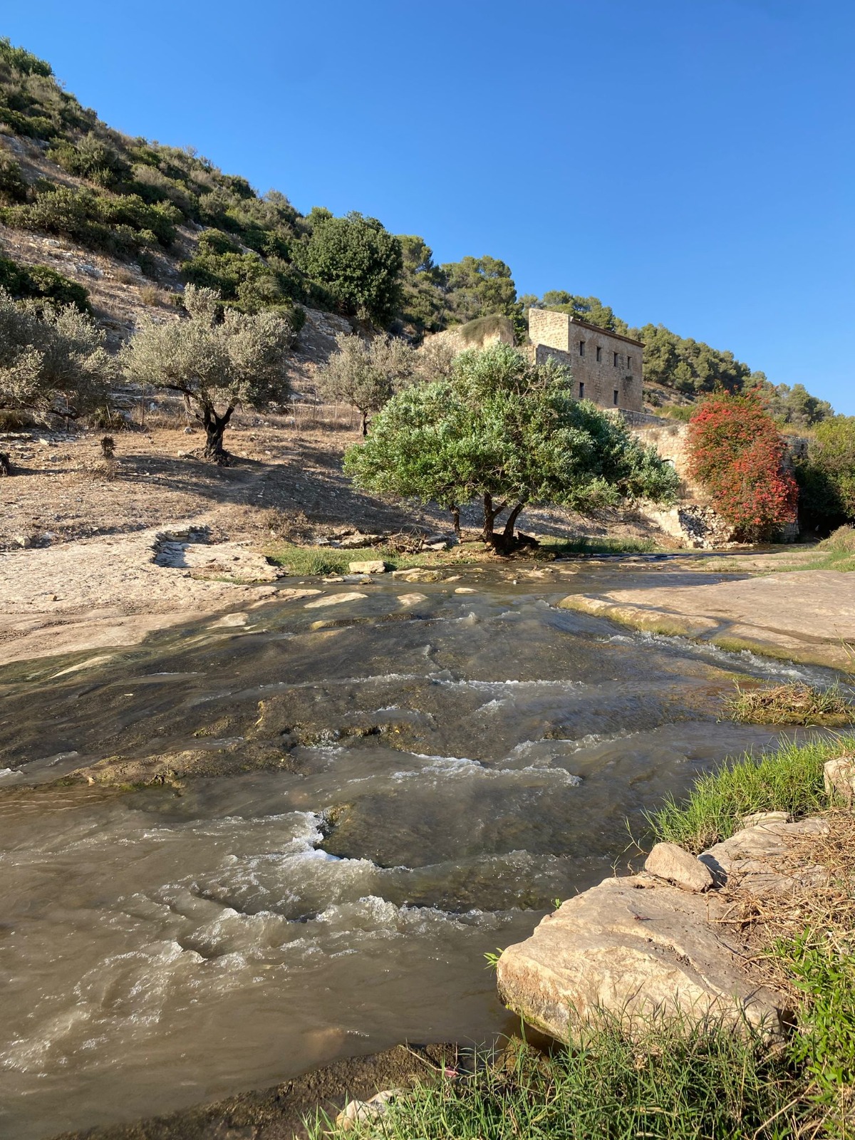 מטיילים ומצלמים בנחל ציפורי (1)