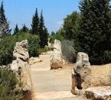 ארץ אהבתי -7 - 8.5 הר שכניה