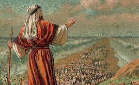 שישי תרבות-  6.3 - יציאת מצרים