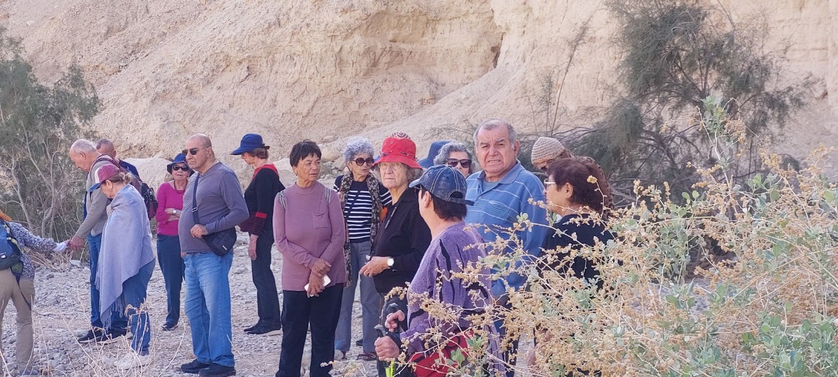 נופשון בים המלח  (7)