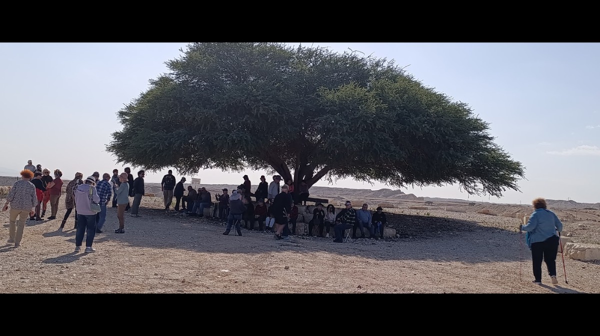 נופשון בים המלח  (20)