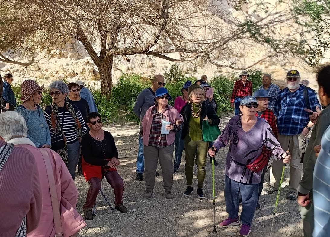 נופשון בים המלח  (21)