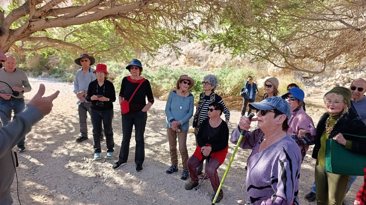 נופשון בים המלח  (17)