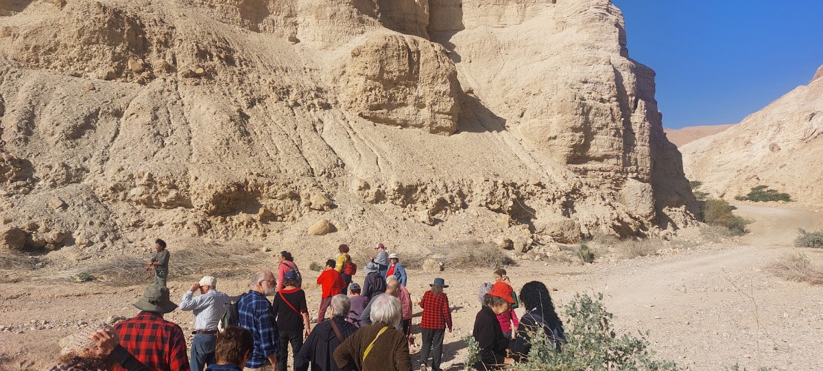 נופשון בים המלח  (5)