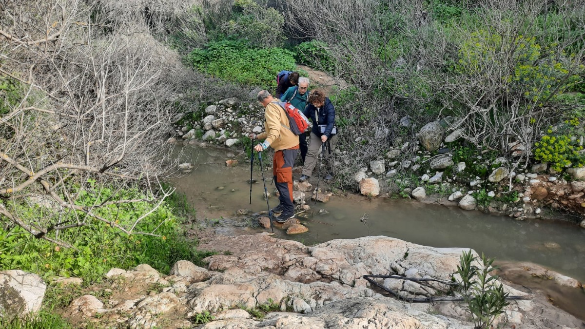 שביל ישראל-נחל עמוד תחתון (4)