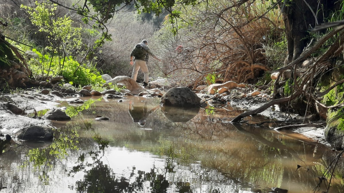 שביל ישראל-נחל עמוד תחתון (5)