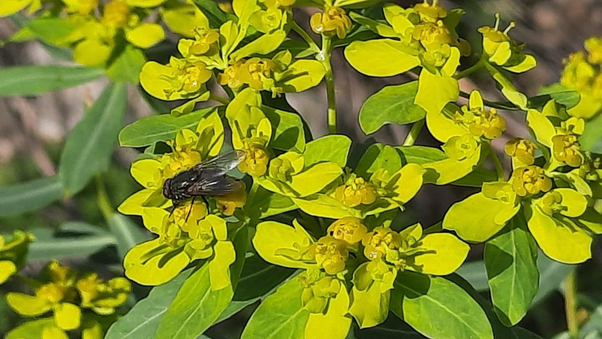 שביל ישראל-נחל עמוד תחתון (7)