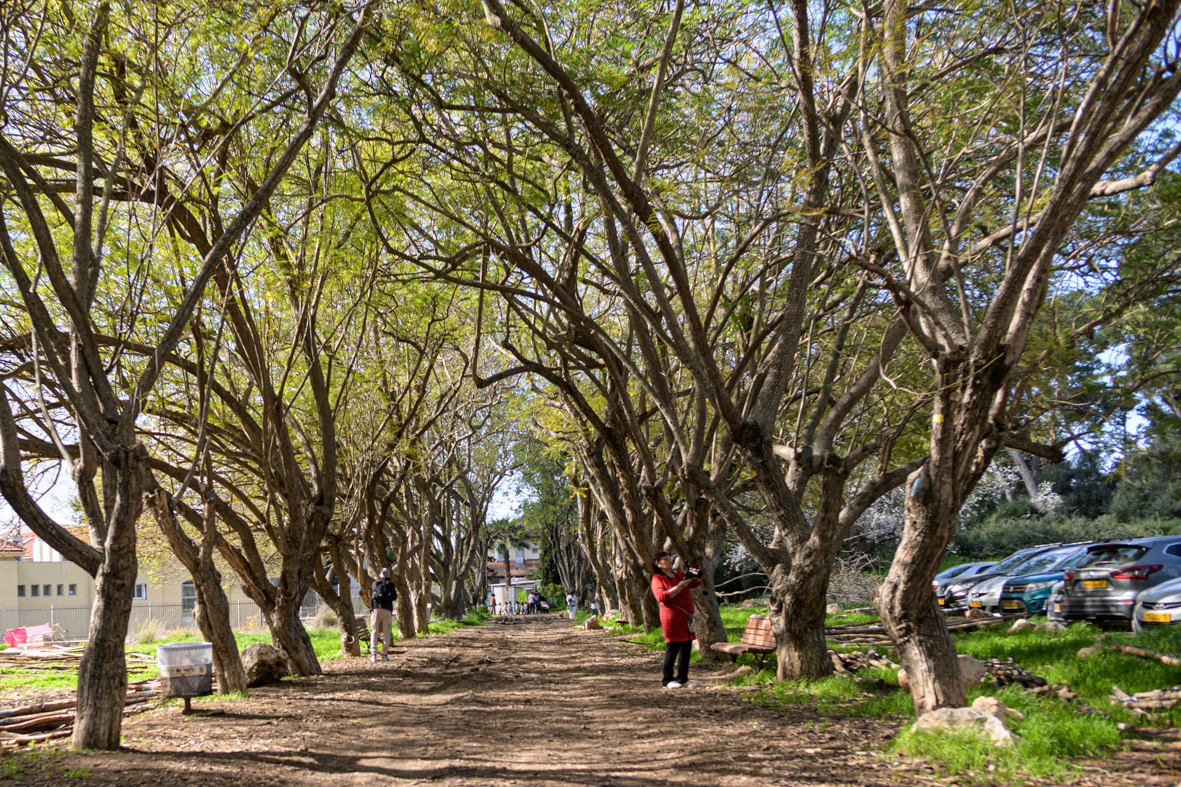 מטיילים ומצלמים במקומות נסתרים בליבה של זכרון יעקב (3)