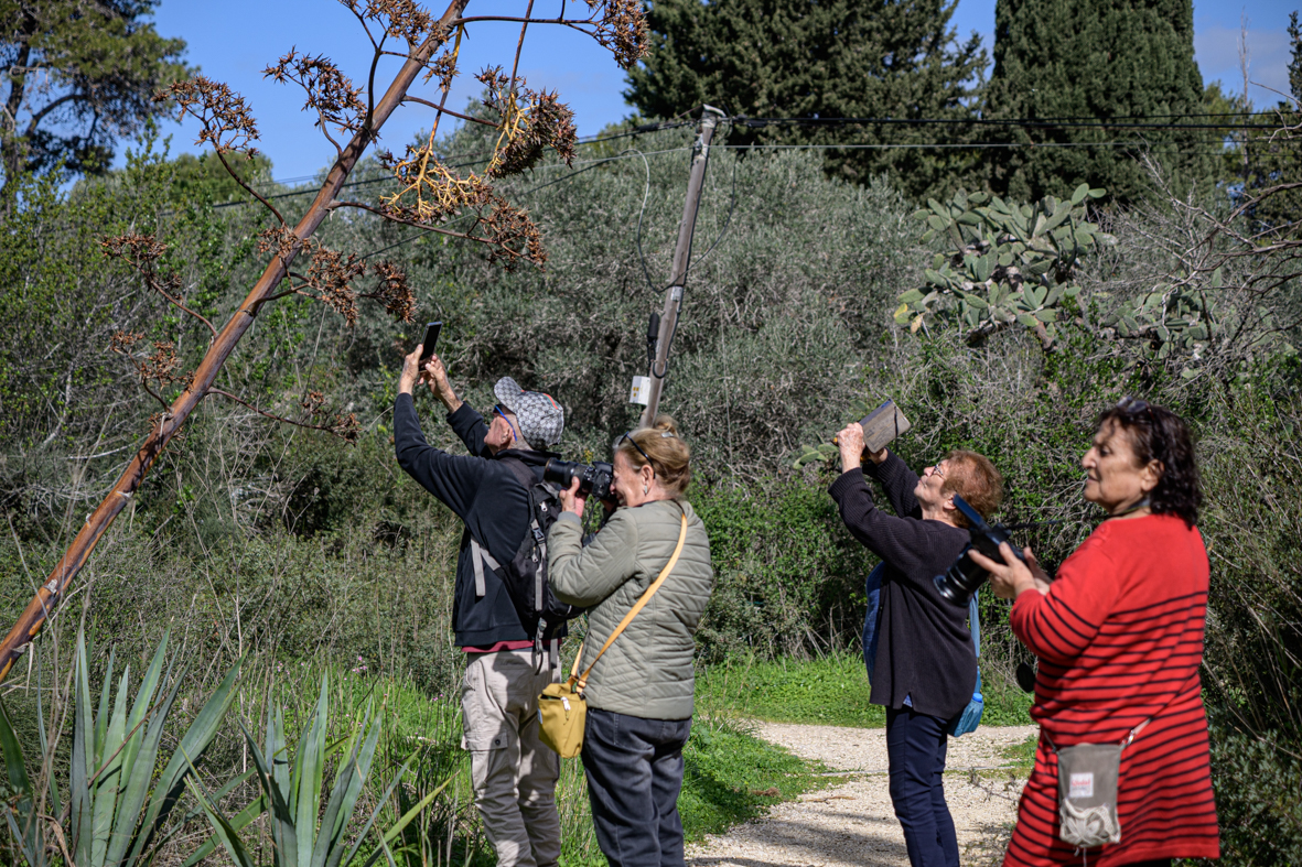מטיילים ומצלמים במקומות נסתרים בליבה של זכרון יעקב (5)