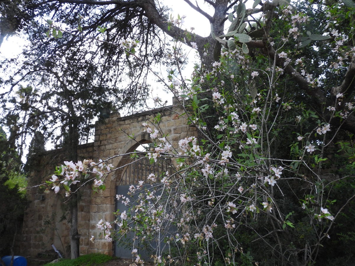 מטיילים ומצלמים במקומות נסתרים בליבה של זכרון יעקב (15)